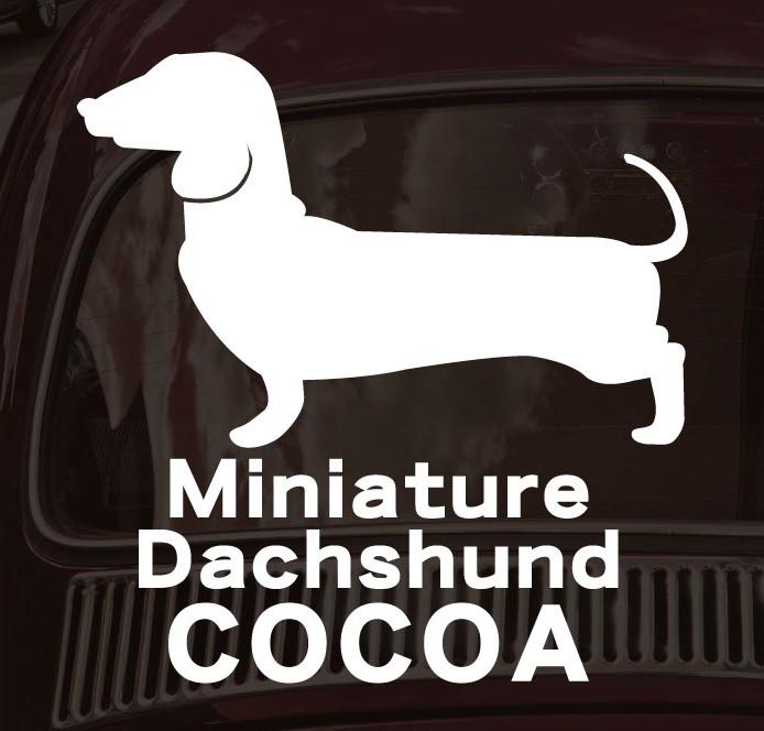 ミニチュアダックスフンドスムース_ペットカーステッカー_犬グッズ_名入れ_PET-TEP_ENT_147_1621枚目の画像