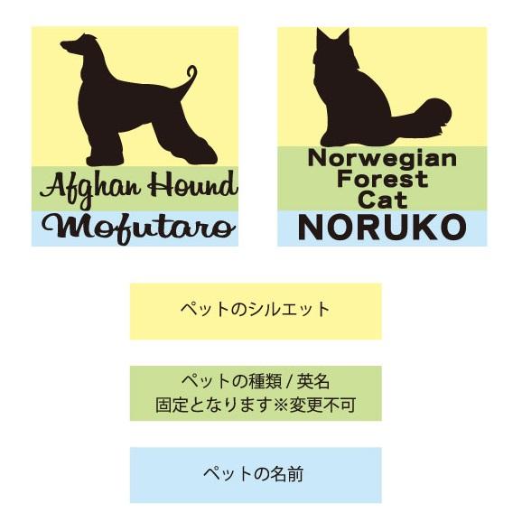 ベルジアンシェパードドッグマリノア_ペッカーステッカー_犬グッズ_名入れ_PET-TEP_ENT_126_238 | 6枚目