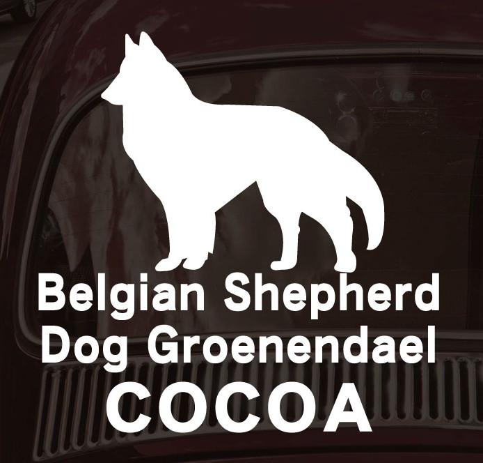 ベルジアンシェパードドッググローネンダール_カーステッカー_犬グッズ_名入れ_PET-TEP_ENT_124_2361枚目の画像