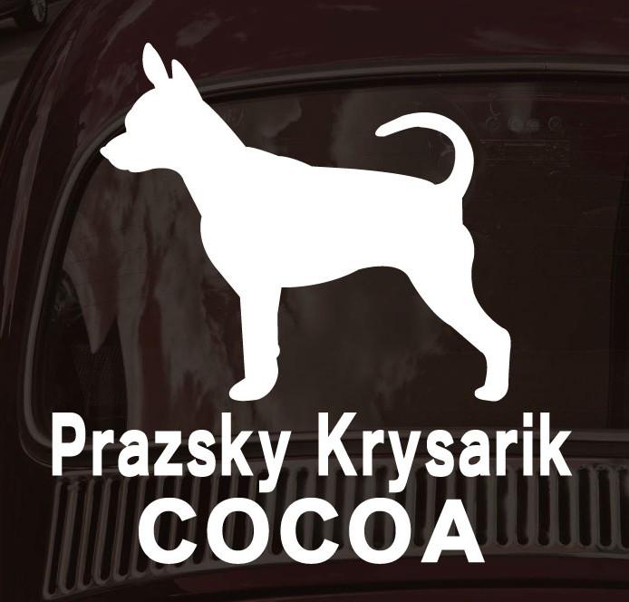 プラシュスキークリサジーク_ペットシルエットカーステッカー_犬グッズ_名入れ_PET-TEP_ENT_112_2281枚目の画像