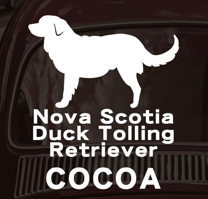 ノヴァスコシアダックトーリングレトリーバー_カーステッカー_犬グッズ_名入れ_PET-TEP_ENT_093_2171枚目の画像