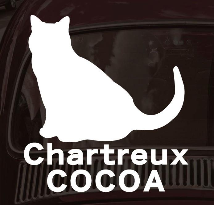 シャルトリュー_オリジナルペットシルエットカーステッカー_猫グッズ_名入れ_PET-TEP_ENT_200_3271枚目の画像