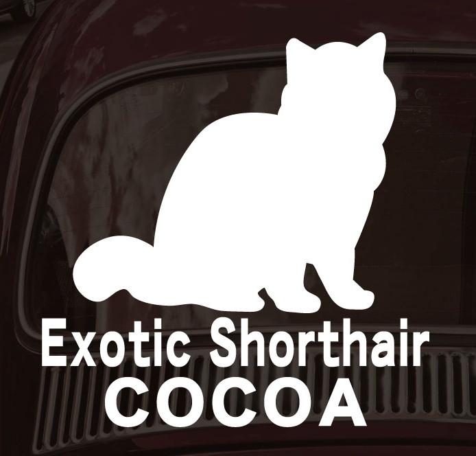 エキゾチックショートヘア_ペットシルエットカーステッカー_猫グッズ_名入れ_PET-TEP_ENT_190_3241枚目の画像