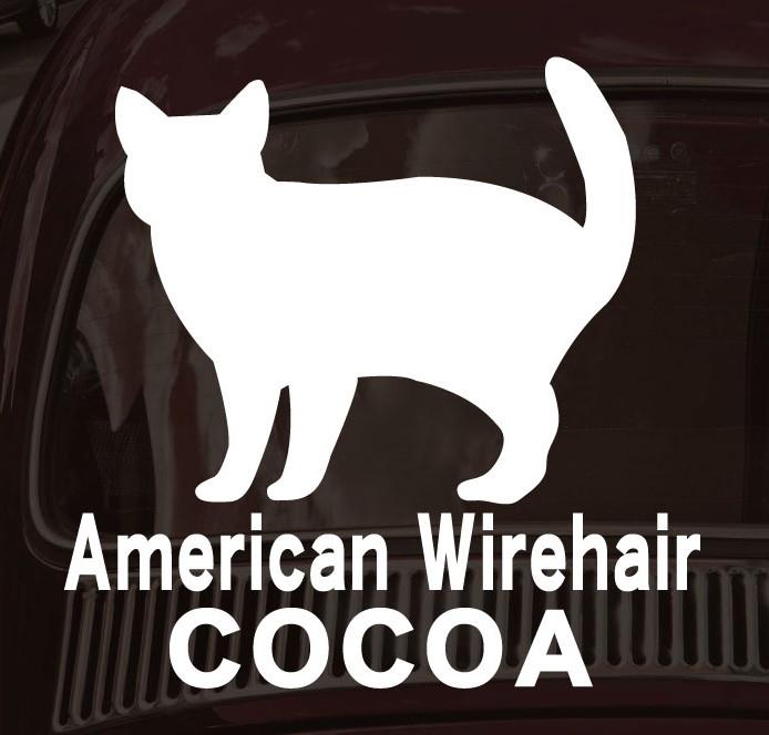アメリカンワイヤーヘア_ペットシルエットカーステッカー_猫グッズ_名入れ_PET-TEP_ENT_189_3431枚目の画像