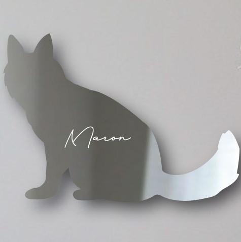 ターキッシュアンゴラ_ペットシルエットシェイプミラー鏡_猫グッズ_名入れ_PET-TEP_ENT_209_3531枚目の画像