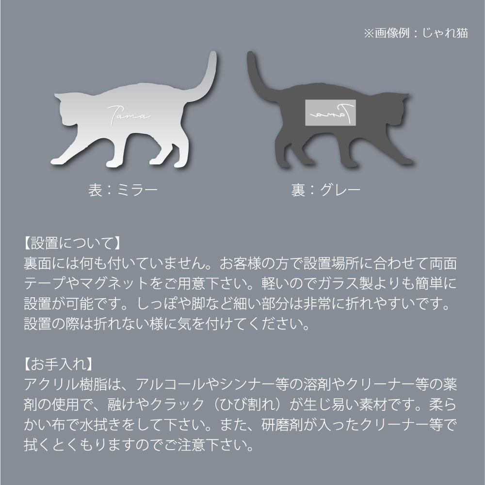 グレートデン_オリジナルペットシルエットシェイプミラー鏡_犬グッズ_名入れ_PET-TEP_ENT_031_124 | 6枚目