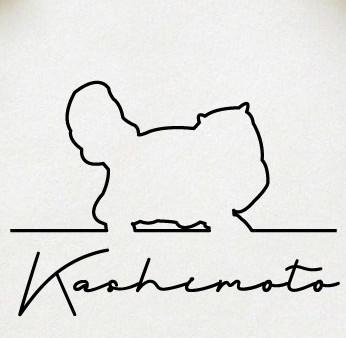 ペルシャ_オリジナルペットシルエットサインスタンプ_猫グッズ_名入れ_PET-TEP_ENT_222_3201枚目の画像