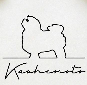 ボロニーズ_オリジナルペットシルエットサインスタンプ_犬グッズ_名入れ_PET-TEP_ENT_138_2441枚目の画像