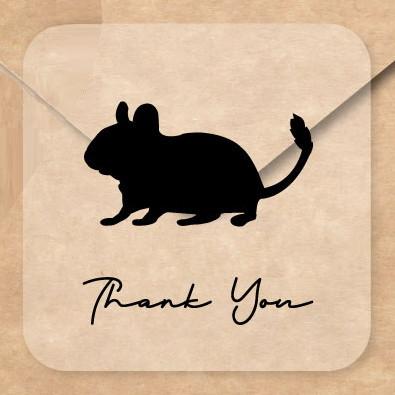 デグー_オリジナルペットシルエットお名前シール_小動物グッズ_名入れ_PET-TEP_ENT_244_5191枚目の画像