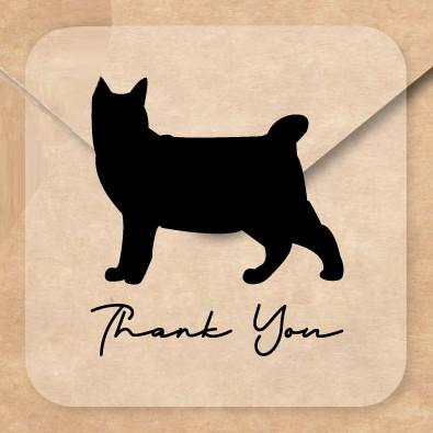 ピクシーボブ_オリジナルペットシルエットお名前シール_猫グッズ_名入れ_PET-TEP_ENT_219_3601枚目の画像