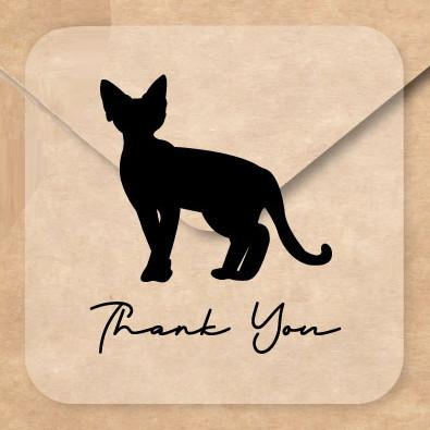 デボンレックス_オリジナルペットシルエットお名前シール_猫グッズ_名入れ_PET-TEP_ENT_212_3551枚目の画像