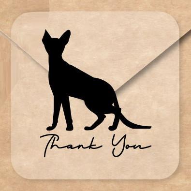 コーニッシュレックス_ペットシルエットお名前シール_猫グッズ_名入れ_PET-TEP_ENT_195_3481枚目の画像
