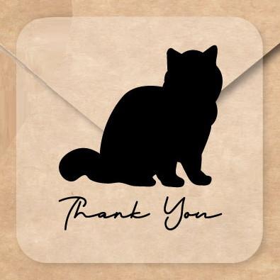 エキゾチックショートヘア_ペットシルエットお名前シール_猫グッズ_名入れ_PET-TEP_ENT_190_3241枚目の画像