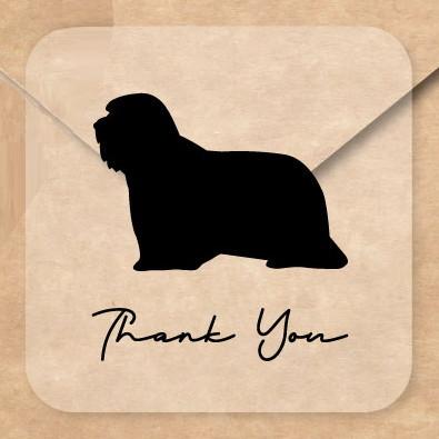 ビアデッドコリー_オリジナルペットシルエットお名前シール_犬グッズ_名入れ_PET-TEP_ENT_104_2231枚目の画像