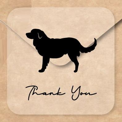 ノヴァスコシアダックトーリングレトリーバー_お名前シール_犬グッズ_名入れ_PET-TEP_ENT_093_2171枚目の画像