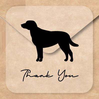 チェサピークベイーレトリーバー_ペットお名前シール_犬グッズ_名入れ_PET-TEP_ENT_072_2061枚目の画像
