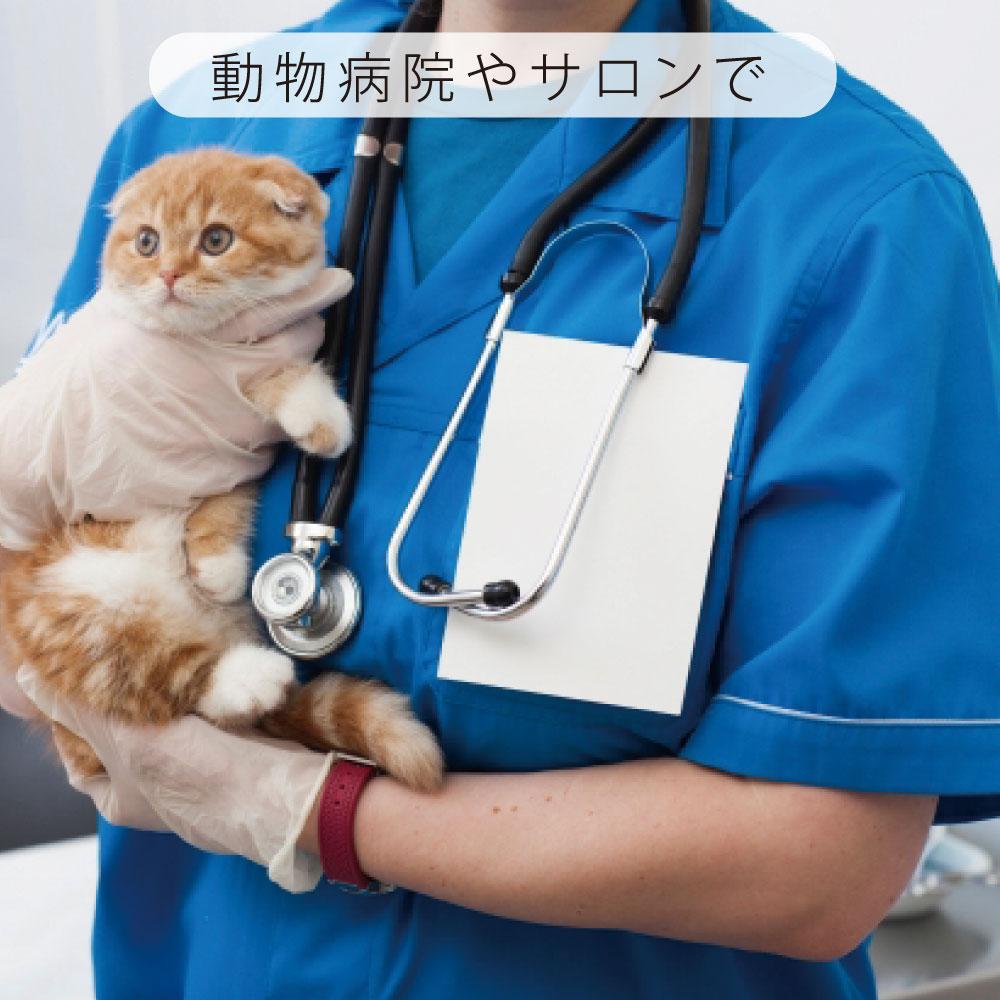 ボストンテリア_オリジナルペットシルエットネーム印はんこ_犬グッズ_名入れ_PET-TEP_ENT_131_157 | 6枚目