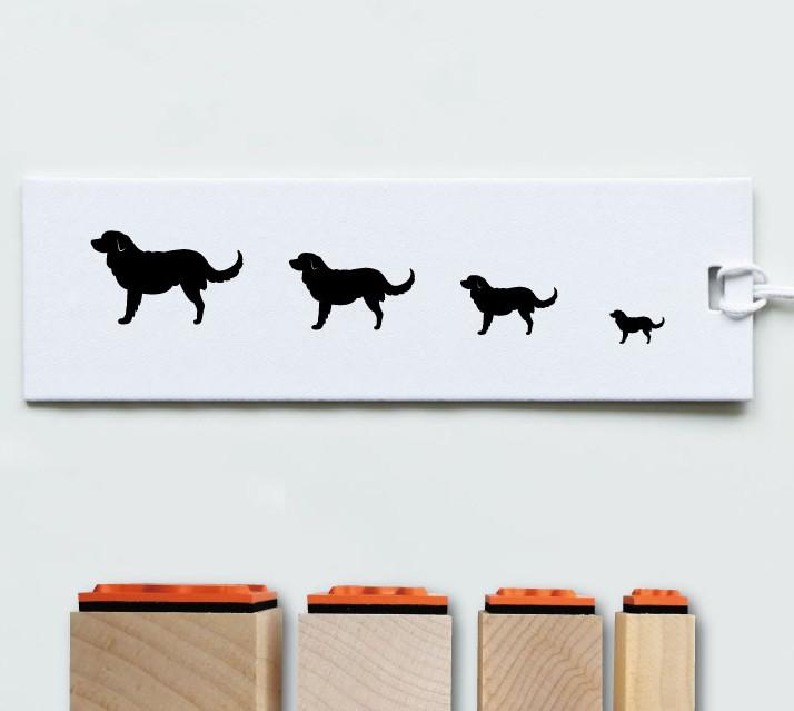 ノヴァスコシアダックトーリングレトリーバー_スタンプセット_犬グッズ_名入れ_PET-TEP_ENT_093_2171枚目の画像