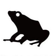 ヤドクガエル_オリジナルペットシルエットカートプレート_両生類グッズ_名入れ_PET-TEP_ENT_314_709 | 2枚目