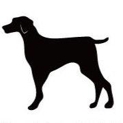 ワイマラナー_オリジナルペットシルエットカートプレート_犬グッズ_名入れ_PET-TEP_ENT_164_168 | 2枚目