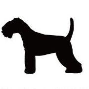 レークランドテリア_ペットシルエットカートプレート_犬グッズ_名入れ_PET-TEP_ENT_159_251 | 2枚目