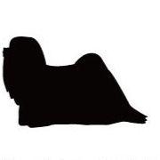 ラサアプソ_オリジナルペットシルエットカートプレート_犬グッズ_名入れ_PET-TEP_ENT_156_249 | 2枚目