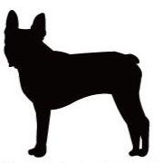 ボストンテリア_オリジナルペットシルエットカートプレート_犬グッズ_名入れ_PET-TEP_ENT_131_157 | 2枚目