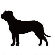 プレサ・カナリオ_オリジナルペットシルエットカートプレート_犬グッズ_名入れ_PET-TEP_ENT_119_233 | 2枚目