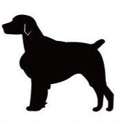 ブリタニースパニエル_ペットシルエットカートプレート_犬グッズ_名入れ_PET-TEP_ENT_114_230 | 2枚目