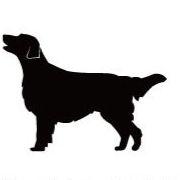 フラットコーテッドレトリーバー_ペットカートプレート_犬グッズ_名入れ_PET-TEP_ENT_113_229 | 2枚目