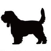 プチバセットグリフォンバンデーン_ペットカートプレート_犬グッズ_名入れ_PET-TEP_ENT_110_226 | 2枚目