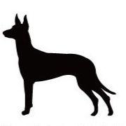 ファラオハウンド_オリジナルペットシルエットカートプレート_犬グッズ_名入れ_PET-TEP_ENT_108_224 | 2枚目