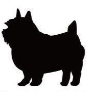 ノーリッチテリア_オリジナルペットシルエットカートプレート_犬グッズ_名入れ_PET-TEP_ENT_095_219 | 2枚目