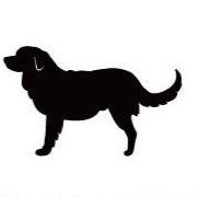 ノヴァスコシアダックトーリングレトリーバー_カートプレート_犬グッズ_名入れ_PET-TEP_ENT_093_217 | 2枚目