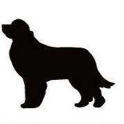 ニューファンドランド_ペットシルエットカートプレート_犬グッズ_名入れ_PET-TEP_ENT_092_216 | 2枚目