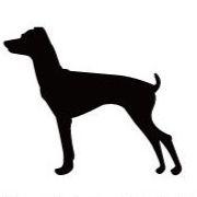 日本テリア_オリジナルペットシルエットカートプレート_犬グッズ_名入れ_PET-TEP_ENT_090_215 | 2枚目