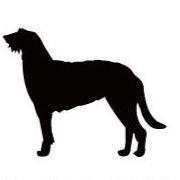 ディアハウンド_オリジナルペットシルエットカートプレート_犬グッズ_名入れ_PET-TEP_ENT_081_211 | 2枚目