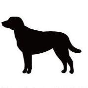 チェサピークベイーレトリーバー_ペットカートプレート_犬グッズ_名入れ_PET-TEP_ENT_072_206 | 2枚目