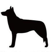 チェコスロバキアンウルフドッグ_ペットカートプレート_犬グッズ_名入れ_PET-TEP_ENT_071_205 | 2枚目