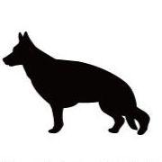 ジャーマンシェパード_ペットシルエットカートプレート_犬グッズ_名入れ_PET-TEP_ENT_054_130 | 2枚目