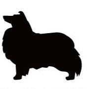 シェットランドシープドッグ_ペットシルエットカートプレート_犬グッズ_名入れ_PET-TEP_ENT_045_128 | 2枚目