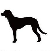 サルーキ_オリジナルペットシルエットカートプレート_犬グッズ_名入れ_PET-TEP_ENT_042_127 | 2枚目