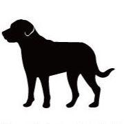 グレートスイスマウンテンドッグ_ペットカートプレート_犬グッズ_名入れ_PET-TEP_ENT_030_185 | 2枚目