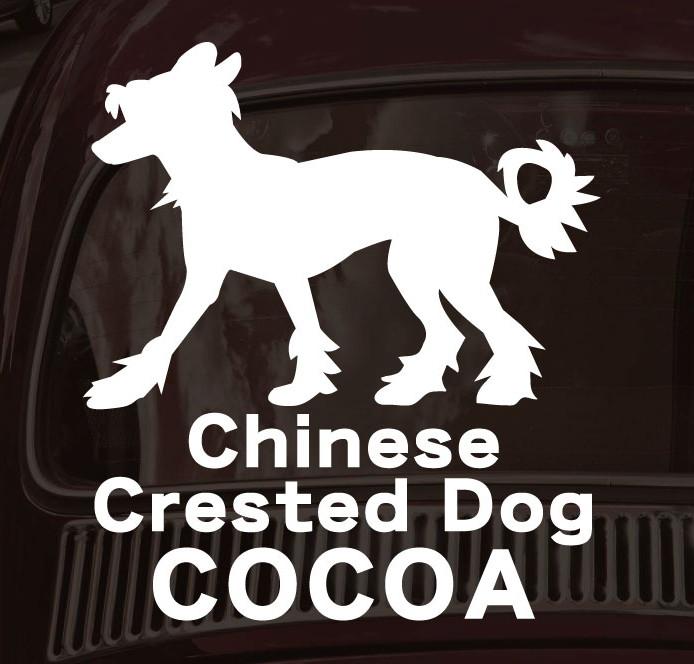 チャイニーズクレステッドドッグ_ペットカーステッカー_犬グッズ_名入れ_PET-TEP_ENT_076_2101枚目の画像