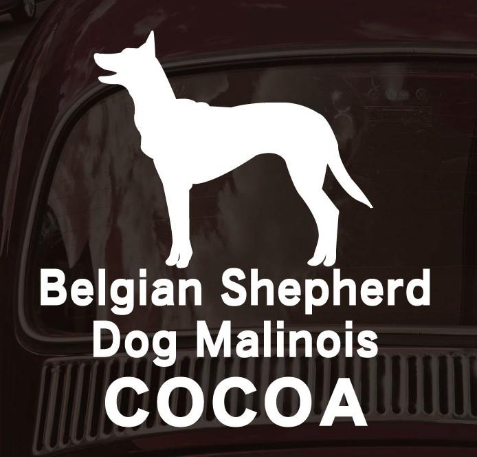 ベルジアンシェパードドッグマリノア_ペッカーステッカー_犬グッズ_名入れ_PET-TEP_ENT_126_2381枚目の画像