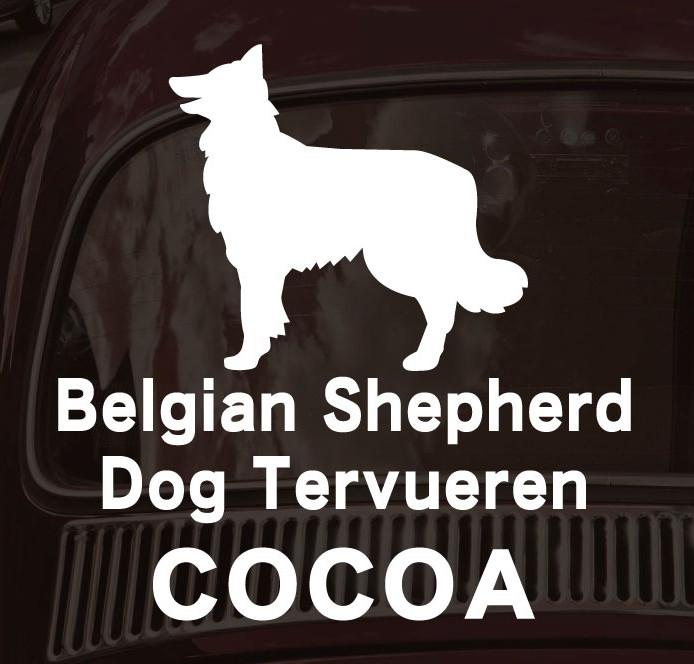 ベルジアンシェパードドッグタービュレン_カーステッカー_犬グッズ_名入れ_PET-TEP_ENT_125_2371枚目の画像