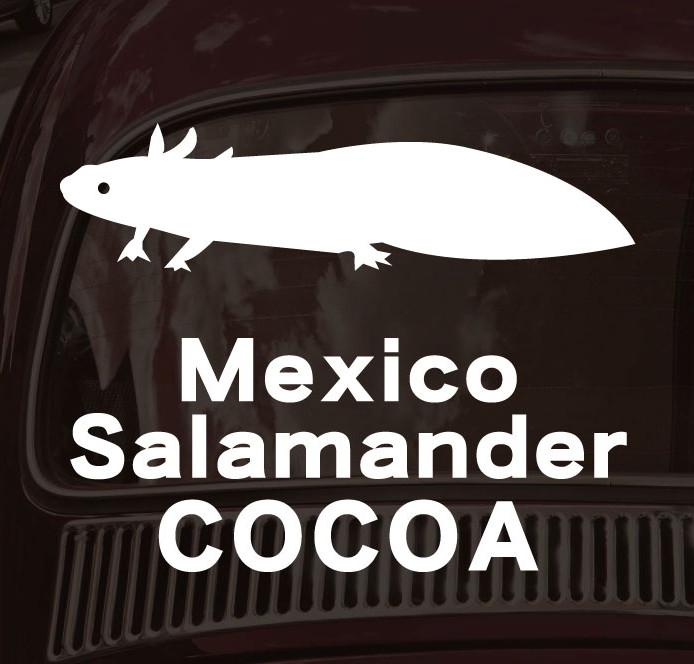 ウーパールーパー_オリジナルペットシルエットカーステッカー_犬グッズ_名入れ_PET-TEP_ENT_315_7811枚目の画像