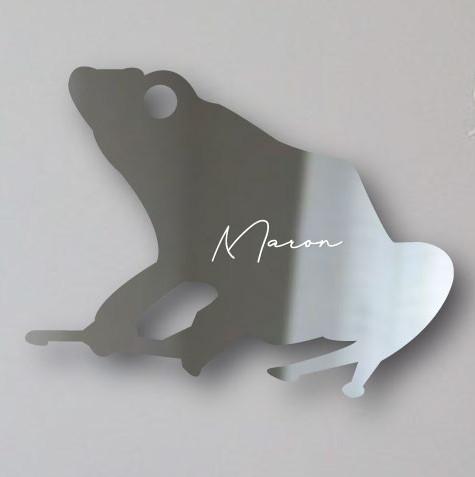 ヤドクガエル_オリジナルペットシルエットシェイプミラー鏡_両生類グッズ_名入れ_PET-TEP_ENT_314_7091枚目の画像