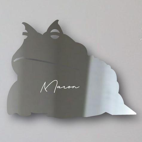 アマゾンツノガエル_ペットシルエットシェイプミラー鏡_両生類グッズ_名入れ_PET-TEP_ENT_308_7031枚目の画像