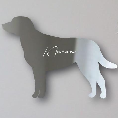 チェサピークベイーレトリーバー_ペットシェイプミラー鏡_犬グッズ_名入れ_PET-TEP_ENT_072_2061枚目の画像